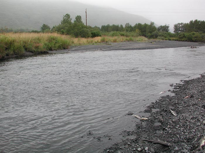 River Bank 2.jpg 82.5K